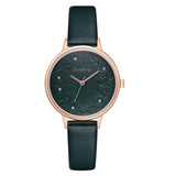 Dicaihong wrist watch